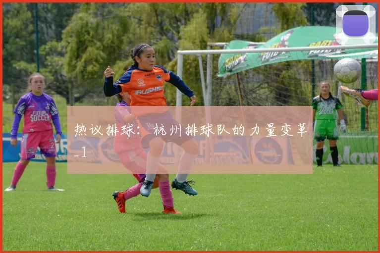 热议排球：杭州排球队的力量变革_1