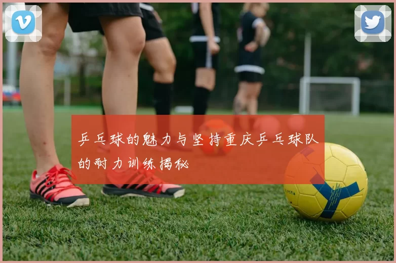 乒乓球的魅力与坚持重庆乒乓球队的耐力训练揭秘