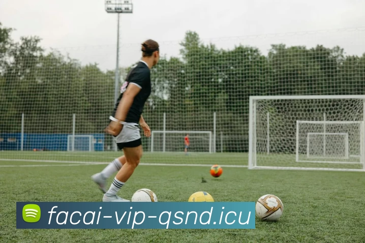 星空体育注册平台生态图