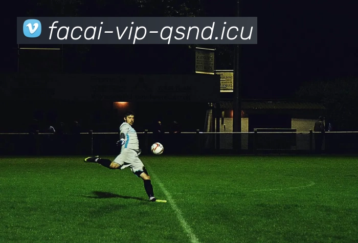 星空体育注册APP 封面图